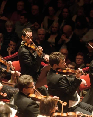 Vlad Holiday