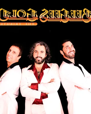 Bee Gees Gold - A Tribute to The Bee Gees Warren