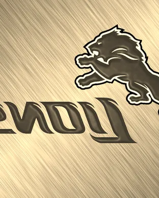 NFL Preseason: Detroit Lions vs. Washington Commanders