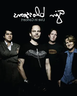 Gin Blossoms Detroit