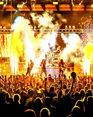 Hairball Sylvania