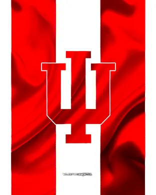 Indiana Hoosiers Ann Arbor