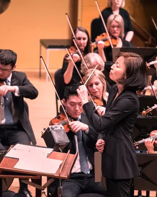 Minnesota Orchestra Detroit
