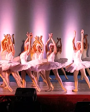 Swan Lake Ann Arbor