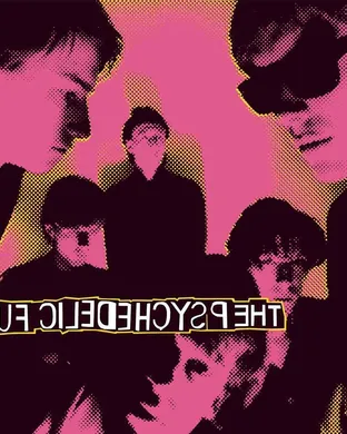 The Psychedelic Furs Royal Oak