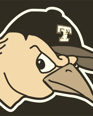 Toledo Mud Hens Toledo