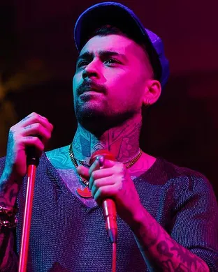 Zayn Detroit