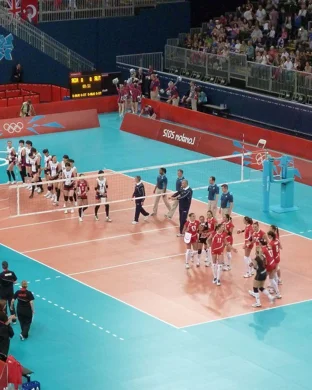 Michigan Wolverines Women's Volleyball Ann Arbor