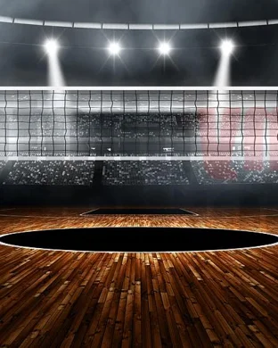 Northwestern Wildcats Women's Volleyball vs. Michigan Wolverines
