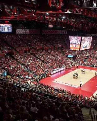 Rutgers Scarlet Knights Women's Volleyball vs. Michigan Wolverines
