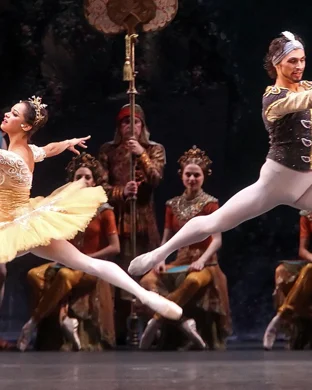 Grand Rapids Ballet Detroit