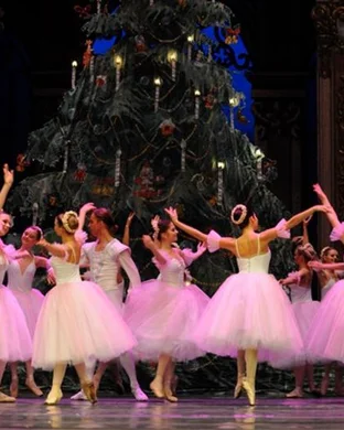 Swan Lake - Symphony of Lights Toledo